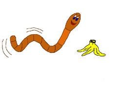 Worm Clip Art N5