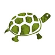 Baby Turtle Clip Art N3