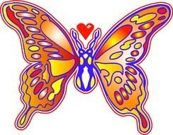 colorful butterfly as a graphic illustration