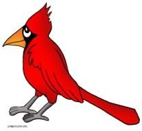 Virginia State Bird Cardinal