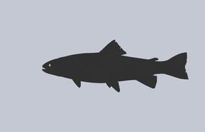 Clip Art of the black fish