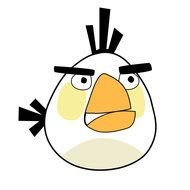 sad White Angry Bird drawing