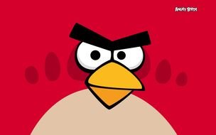 angry bird on red background