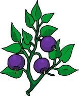 Flower Plant Clip Art
