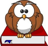 Cartoon Owl Clip Art N6