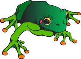 Frog Clip Art N19