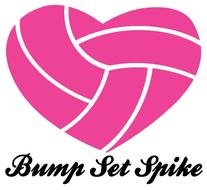 I Love Volleyball