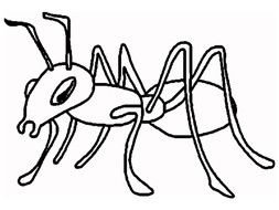 Ant Clip Art Black And White darwing