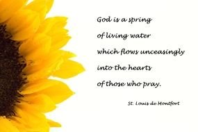 greeting card with verse and sunflower