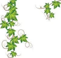 painted climbing green plant