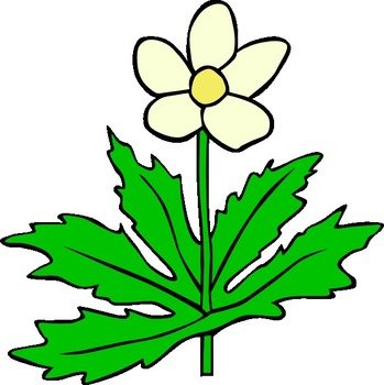 Flower Clip Art N42