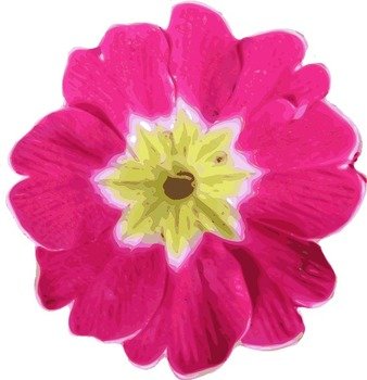 Pink Flowers Clip Art N3