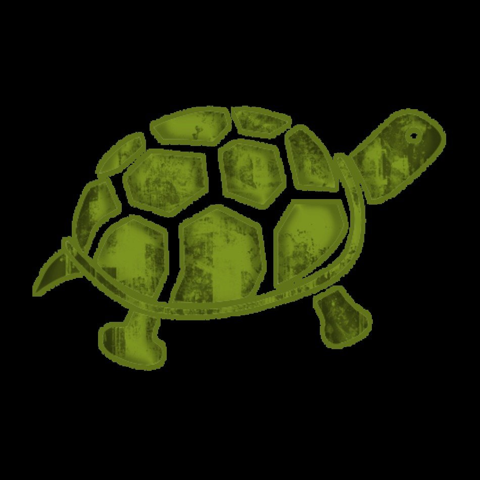Baby Turtle Clip Art N3