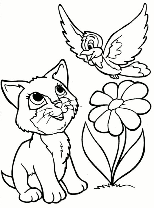 drawn kitten and bird over a flower in a coloring book