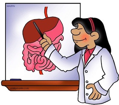 Digestive System