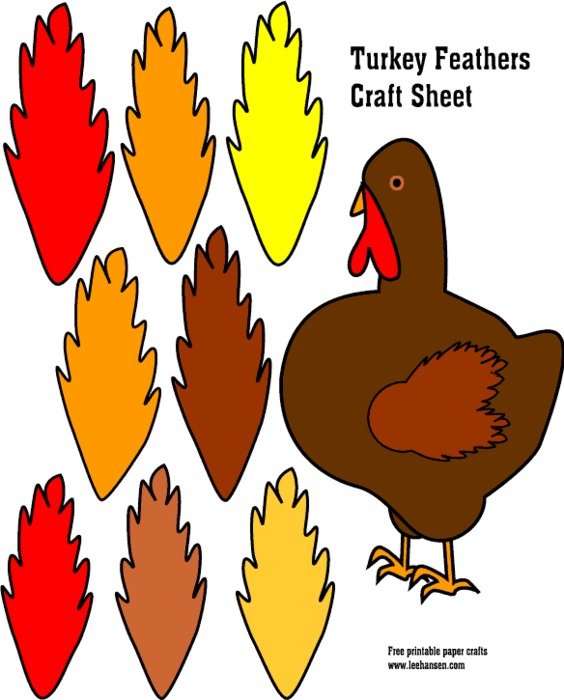 Turkey Feathers
