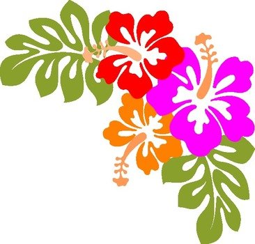 Luau Clip Art N4
