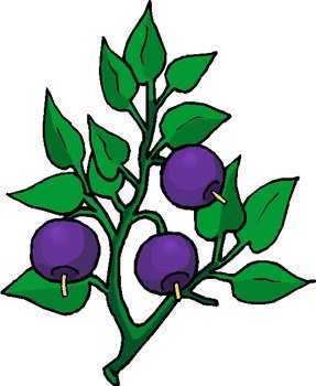 Flower Plant Clip Art