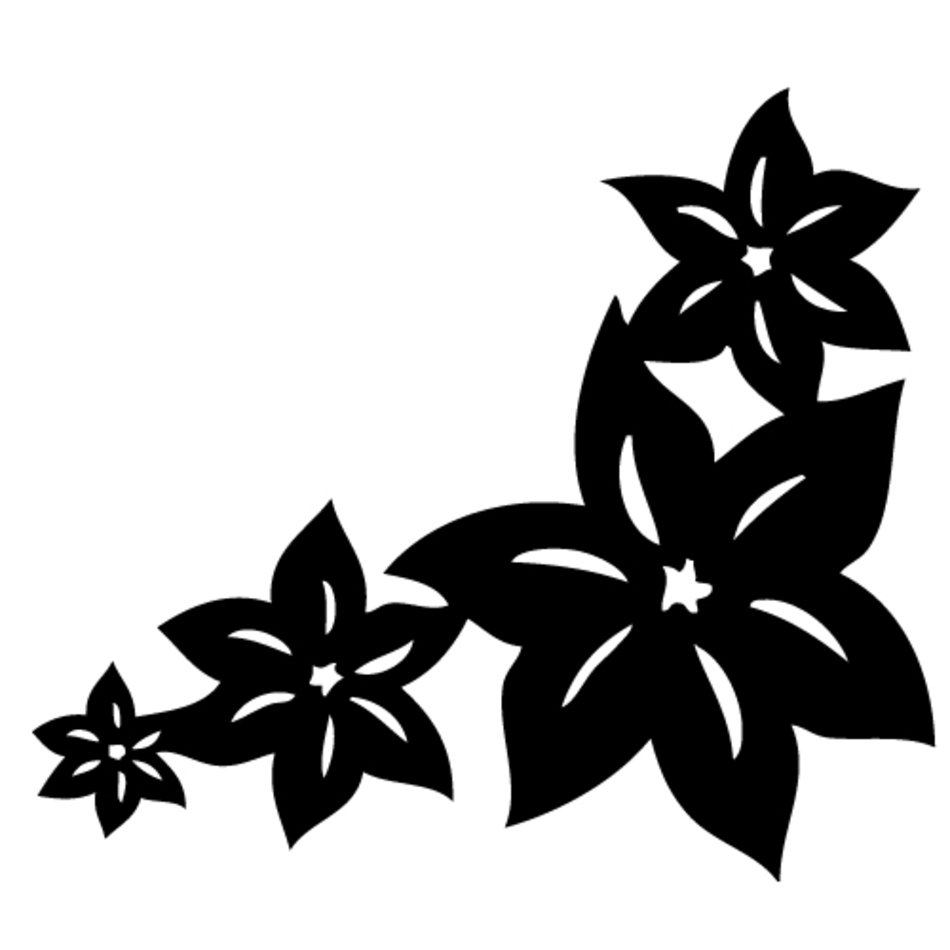 White Plumeria Flower