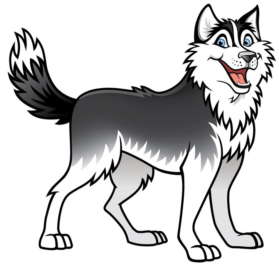 Husky as a graphic illustration