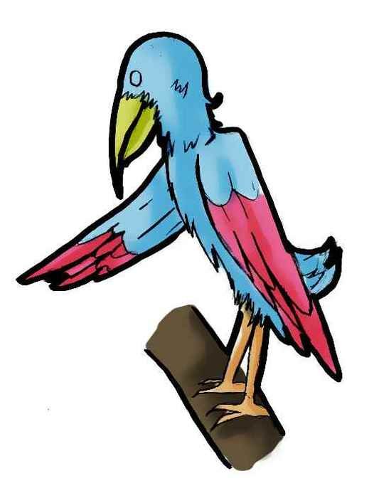 Cartoon Birds