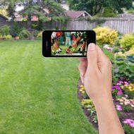 Belkin @TV Premium - Mobile Television Anywhere (Product and Service Have Been Discontinued by Manufacturer) N6