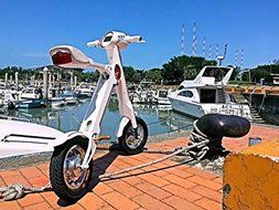 Rooes Foldable Smart E-Scooter Bike With Bluetooth And Bag (White) N3