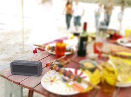 DOSS IPX 4 Wireless Waterproof Bluetooth 4.0 Portable Sport Speaker - Blue N24