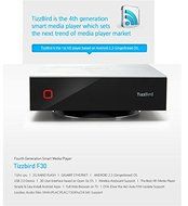 Tizzbird F30 Media Player