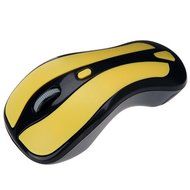 Kingzer 2.4G RF 360&iexcl;&atilde;6D Gyroscope Air Mouse Optical Mouse for PC Android TV Box Y + W N4