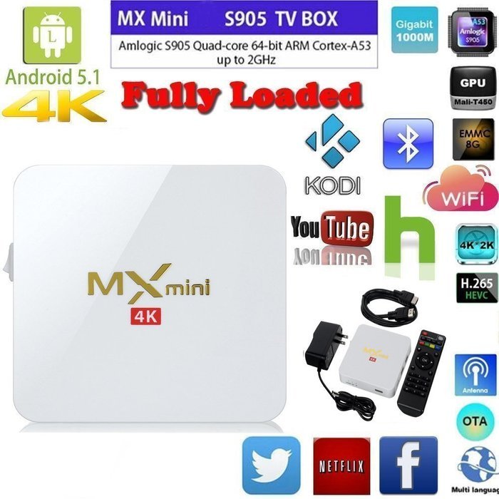 WELLWIN MX MINI TV BOX Amlogic S905 1g/8g Android 5.1 KODI 16.0 Full Loaded with Bluetooth HDMI WIFI 4K (White)