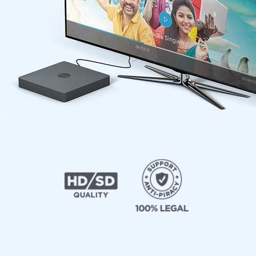 Lebara Play - Tamil TV + Unlimited Movies - 3 Months Subscription - 100 % Legal N7