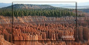 OPPO BDP-103D Universal 3D Blu-ray Player (Darbee Edition) N4