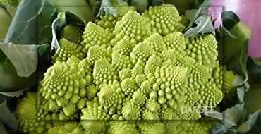 OPPO BDP-103D Universal 3D Blu-ray Player (Darbee Edition) N5