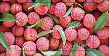 OPPO BDP-103D Universal 3D Blu-ray Player (Darbee Edition) N6