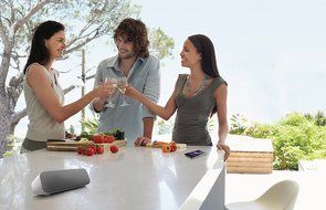 Philips SBT75 Bluetooth Portable Speaker (Black) N7