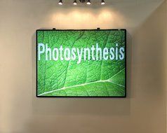 Elite Screens WhiteBoardScreen Series, 60-inch Diagonal 4:3, Ambient Light Rejecting Dry Erase Projection Screen... N2