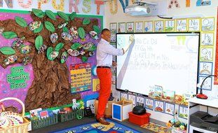 Elite Screens WhiteBoardScreen Series, 60-inch Diagonal 4:3, Ambient Light Rejecting Dry Erase Projection Screen... N5