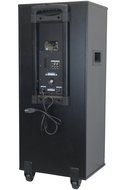 Dolphin SP-113BT Bluetooth 2100W Karaoke Party Speaker System with Wireless Microphone, LED Lights, SD/USB MP3... N2