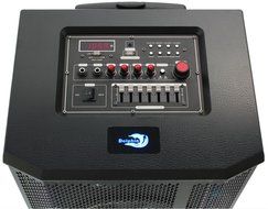 Dolphin SP-113BT Bluetooth 2100W Karaoke Party Speaker System with Wireless Microphone, LED Lights, SD/USB MP3... N3