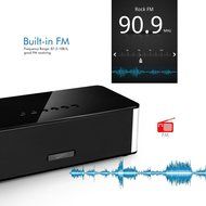 Musky Portable Bluetooth Speaker DY-21, Wireless Speaker with Hands-free, 10W Home Bluetooth Speaker with FM Radio... N6