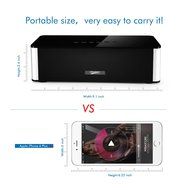 Musky Portable Bluetooth Speaker DY-21, Wireless Speaker with Hands-free, 10W Home Bluetooth Speaker with FM Radio... N8