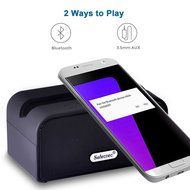 Selectec 4.1 Portable Wireless Bluetooth Speaker with Built in Microphone for iPhone iPad Samsung Galaxy Google... N4