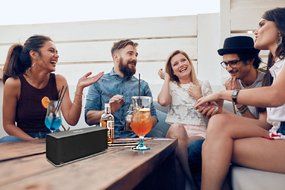 Bluetooth Speaker - Skiva BigBass 20 Watt Ultra-Loud Ultra-Portable with 6 Hours Playtime (Aluminum-Alloy, Strong... N2