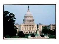 Clarion Matt White Fixed Frame Projection Screen Viewing Area: 133" diagonal
