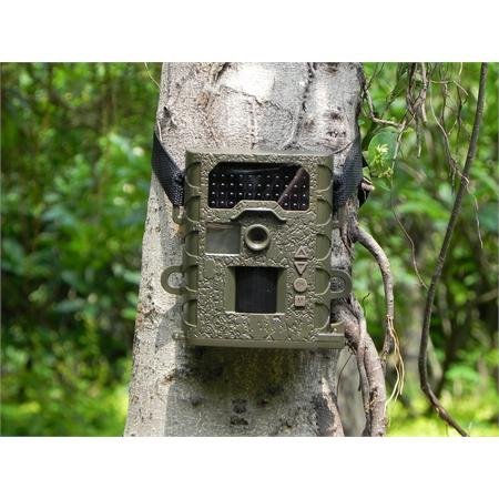 HD Trail Camera Recorder with No-Glo Night Time Vision