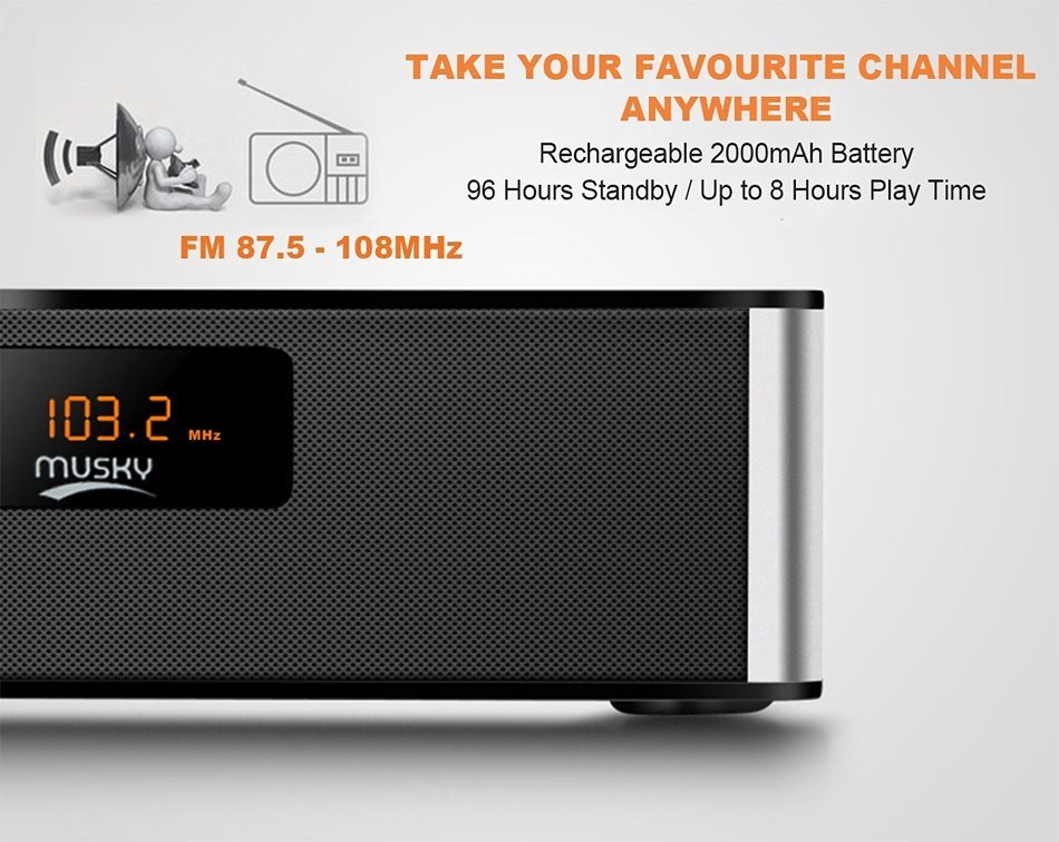 Portable FM Radio Wireless Bluetooth 4.0 Speaker 10W Alarm Clock MP3 Player APE FLAC Lossless Music Support, Hands... N3