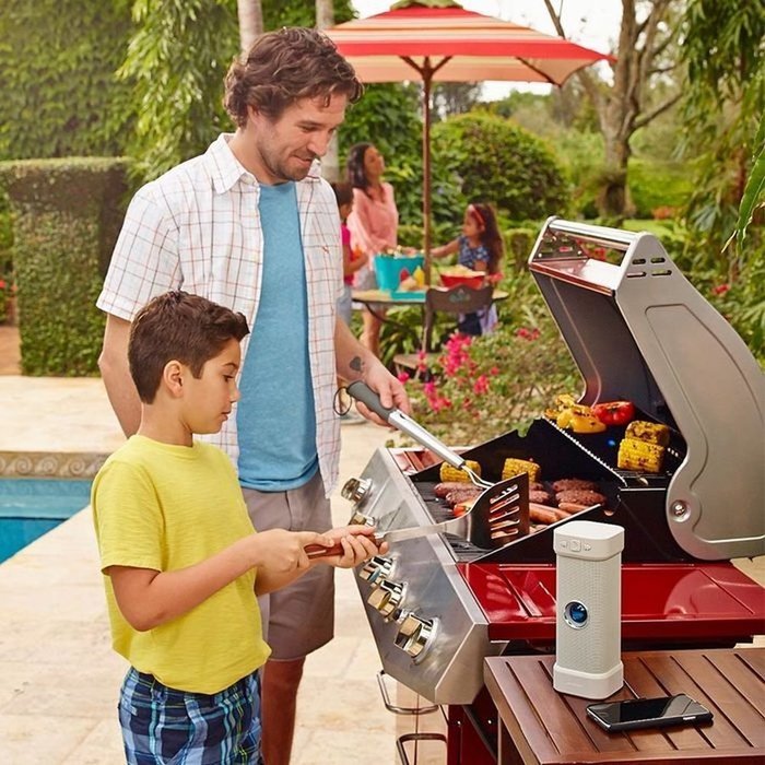 Big Blue Unplugged Wireless Indoor-Outdoor Bluetooth Speaker N3