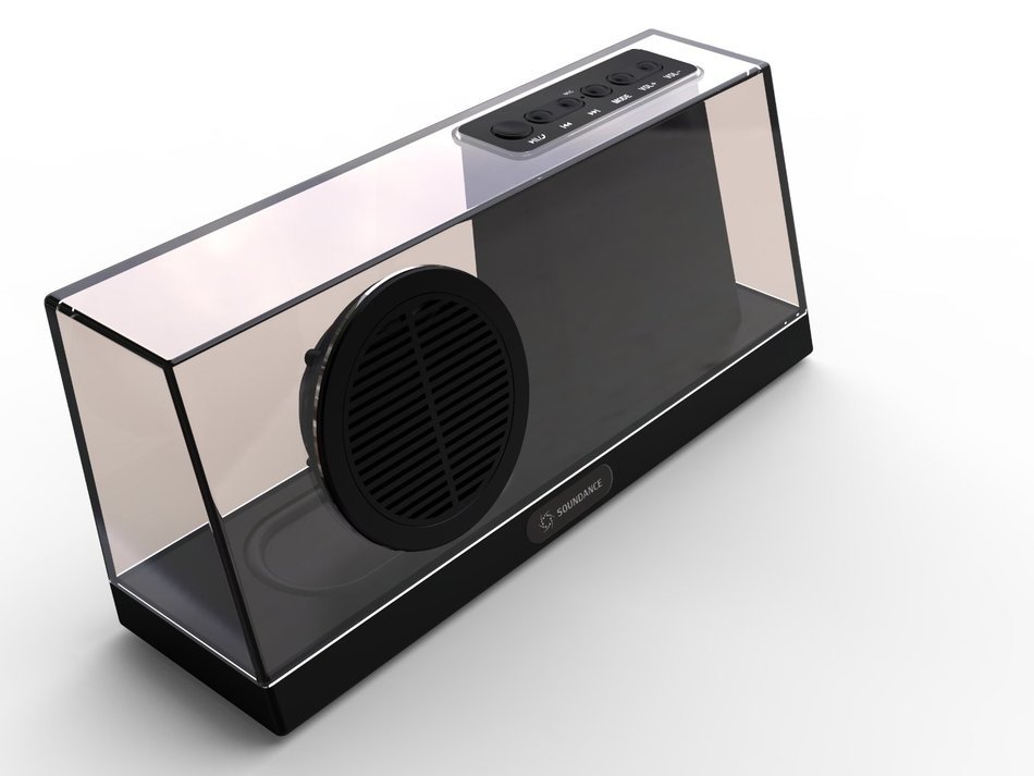 Soundance Portable Stereo Bluetooth Speakers with Enhanced Bass Resonator, FM Radio, Built-in Mic, LED Display... N22
