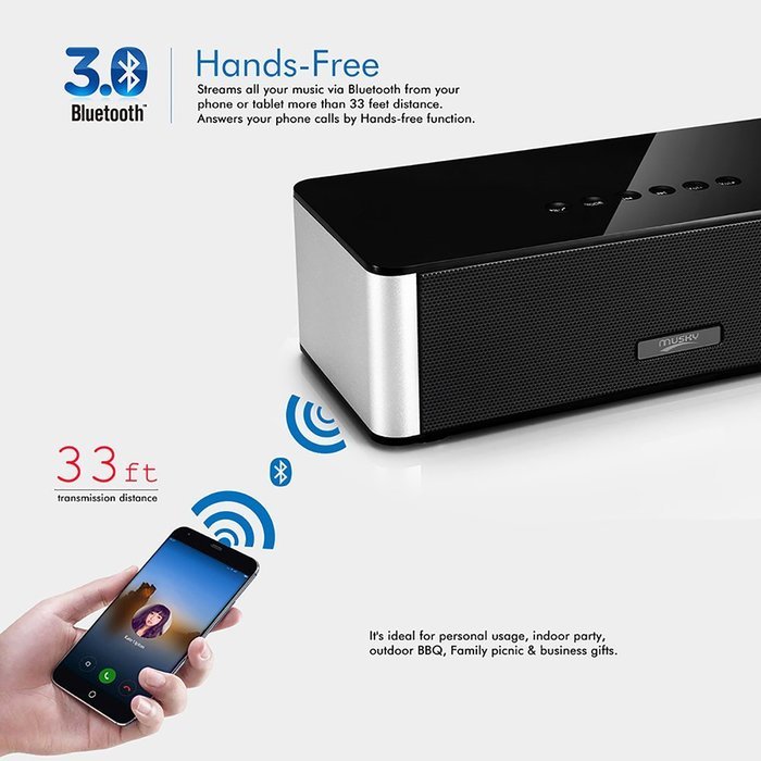 Musky Portable Bluetooth Speaker DY-21, Wireless Speaker with Hands-free, 10W Home Bluetooth Speaker with FM Radio... N2